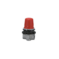 31/S4 - Regolatore di pressione a lettura diretta - Uscita aria N° 1 AIR/11 o Filetto 1/4” BSP - Per compressori - Ani