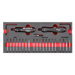 Modulo in spugna bicolore assortito (23 pz) | 519 M 824SK23 | Usag - U05190977