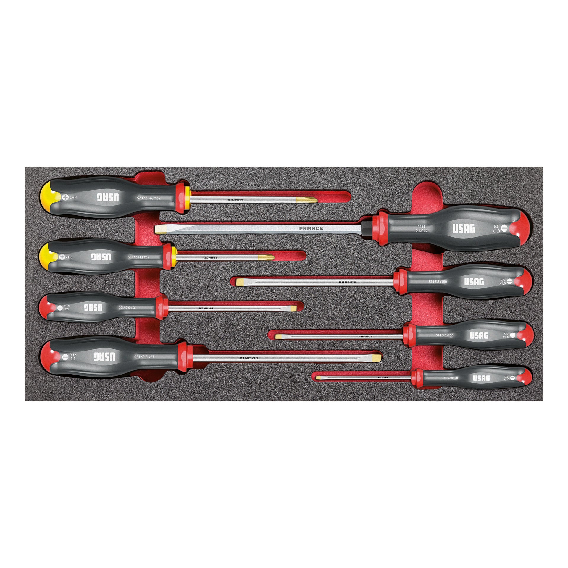 519 M 324H - Modulo in spugna bicolore assortito (8 pz) - Usag - U05190910