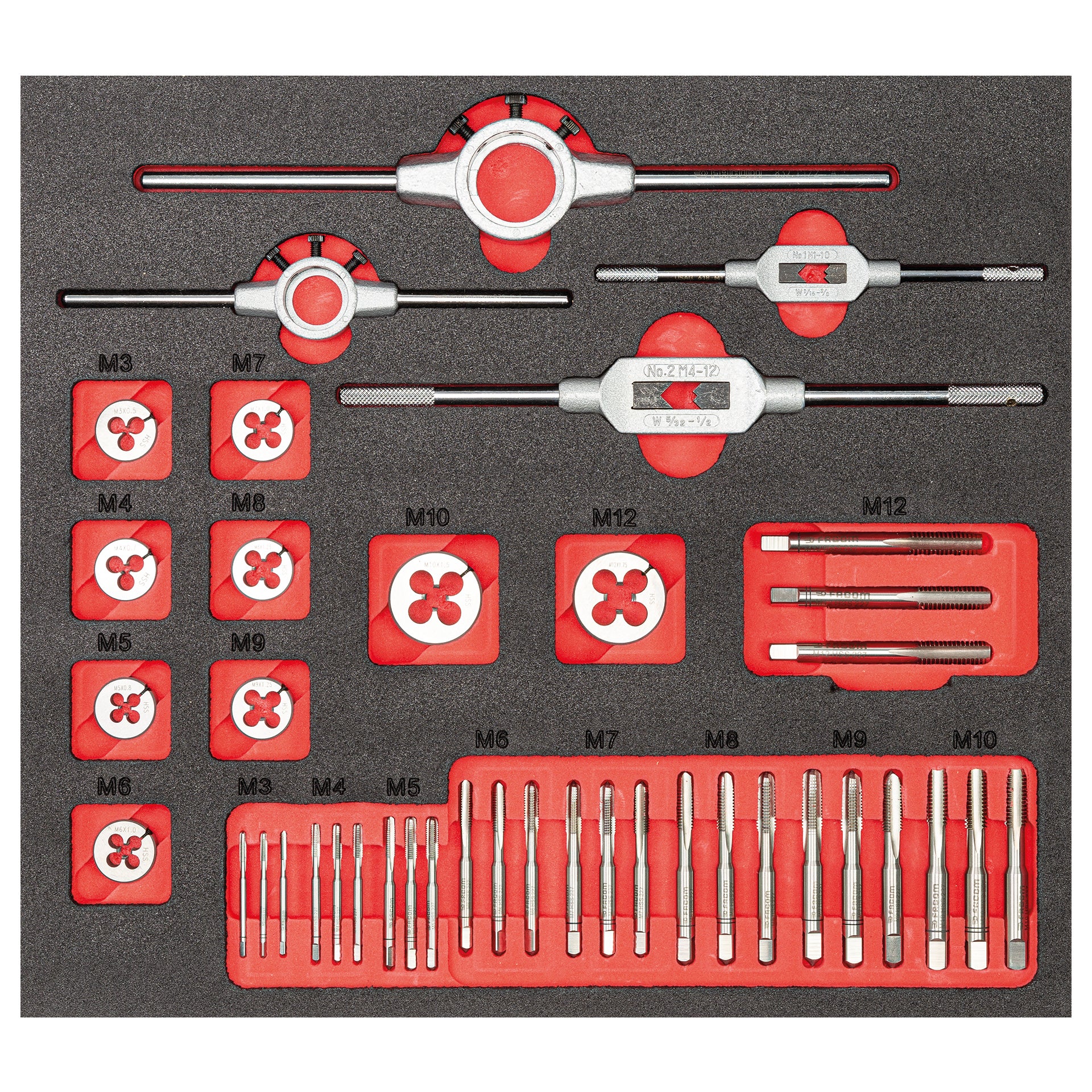 519 M 618MF1 - Modulo in spugna bicolore assortito (40 pz) - Usag - U05191055