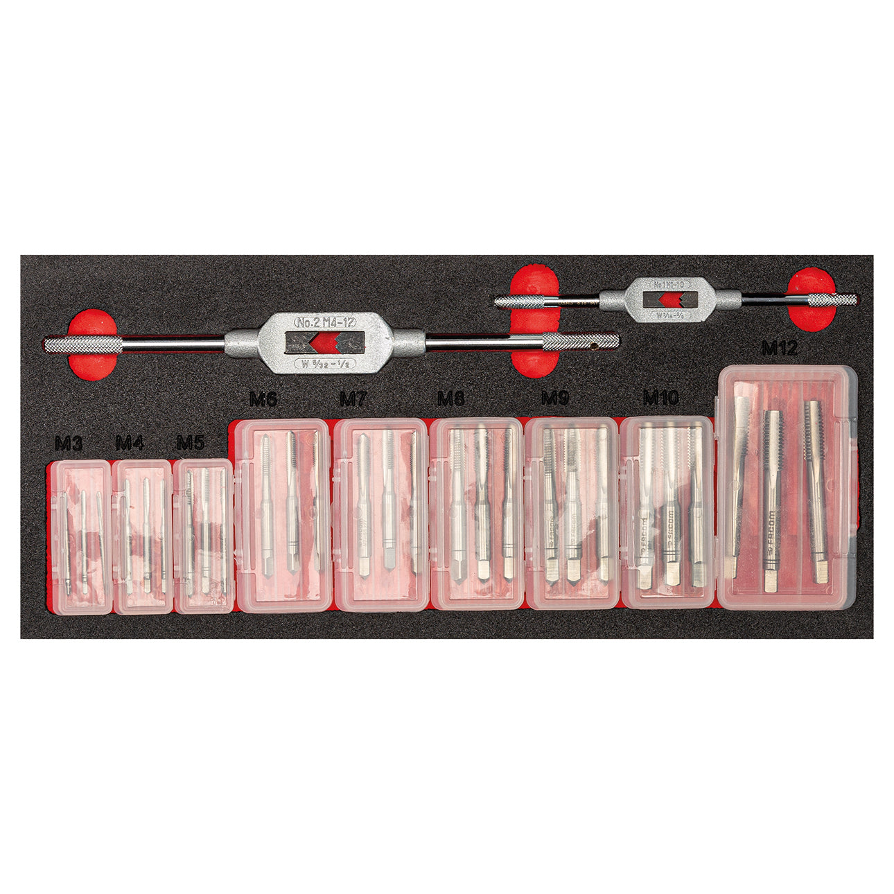 519 M 618MF2 - Assorted two-tone sponge module (29 pcs) - Usag - U05191056